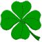 Four Leaf Clover